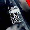 Custom Vehicle Windscreen Stickers