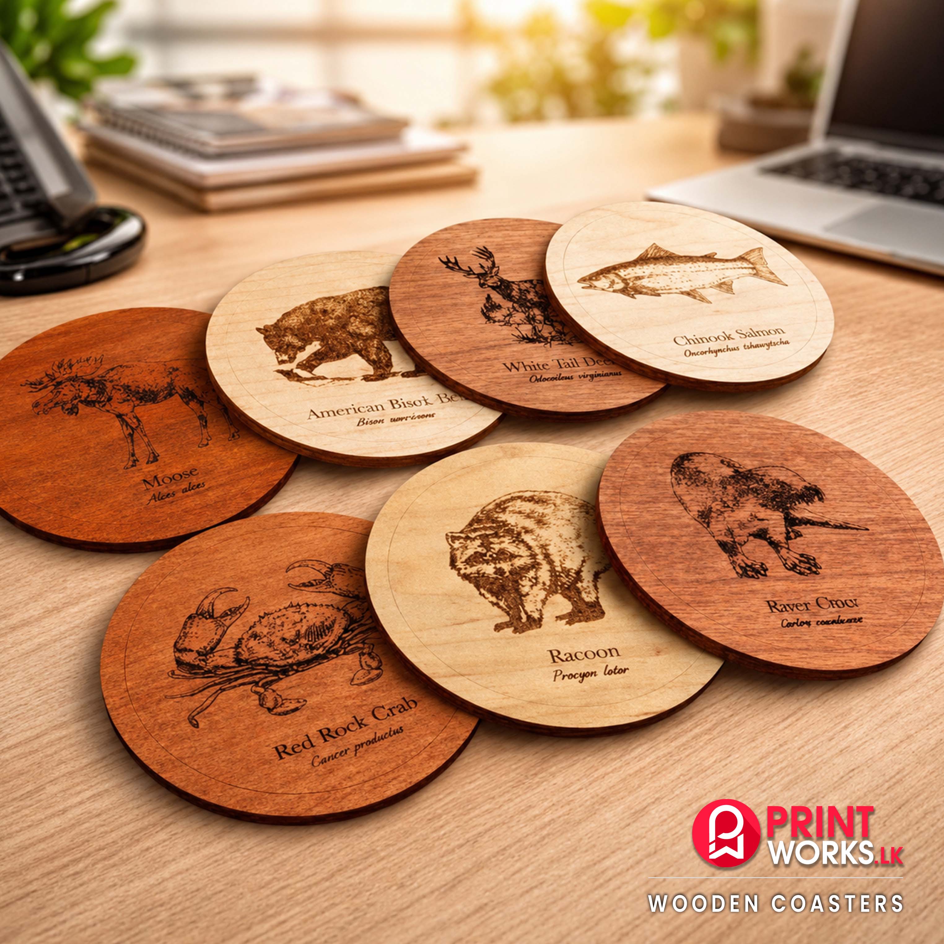 Wooden Coasters